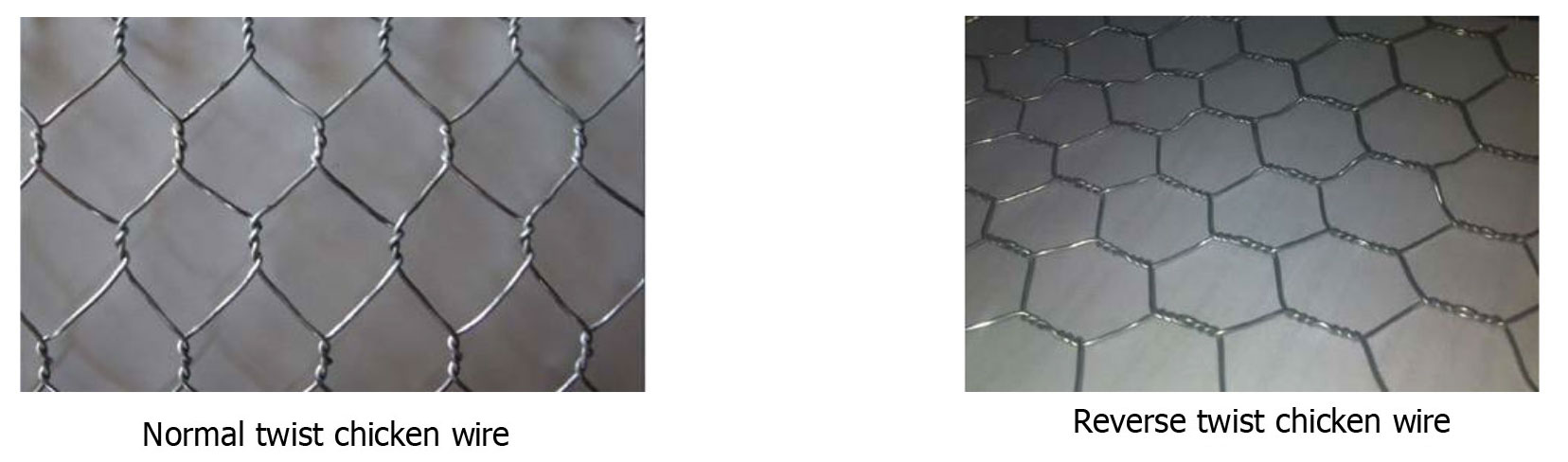 Chicken Wire Mesh