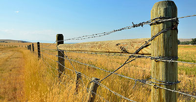 The Barbed Wire Fence